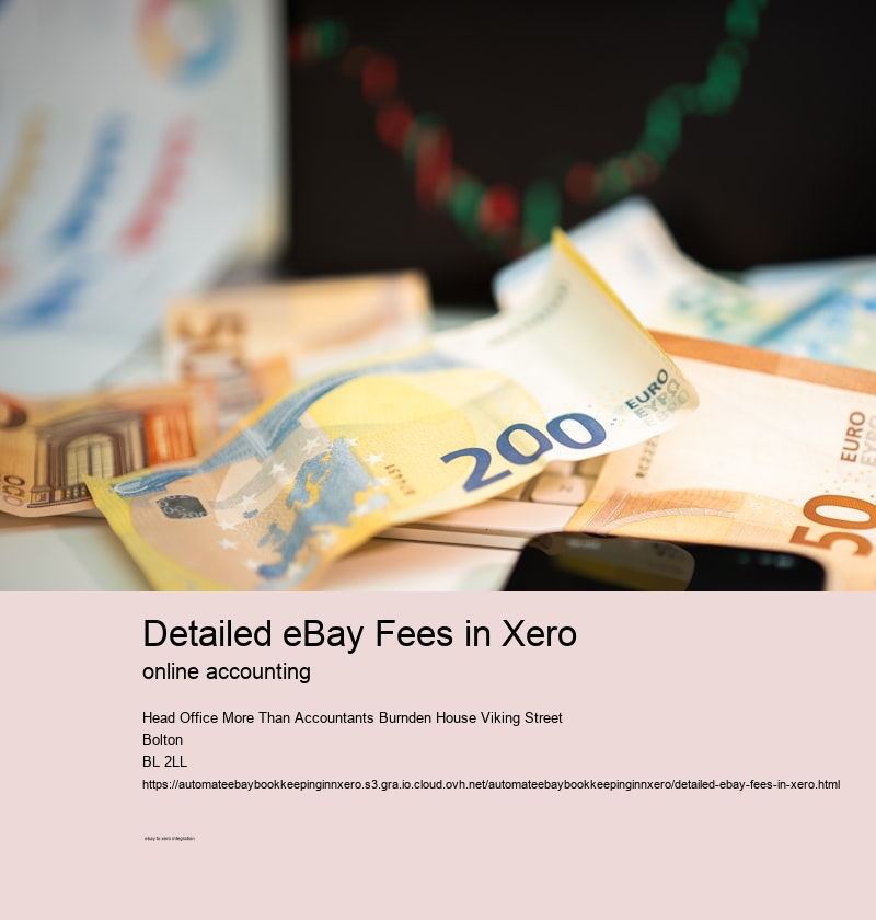 Detailed eBay Fees in Xero