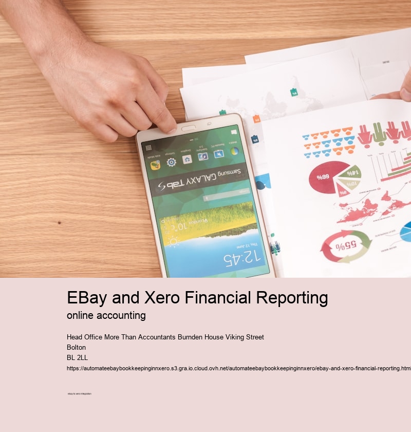 eBay and Xero Financial Reporting