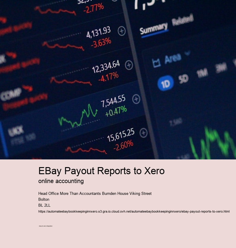 eBay Payout Reports to Xero