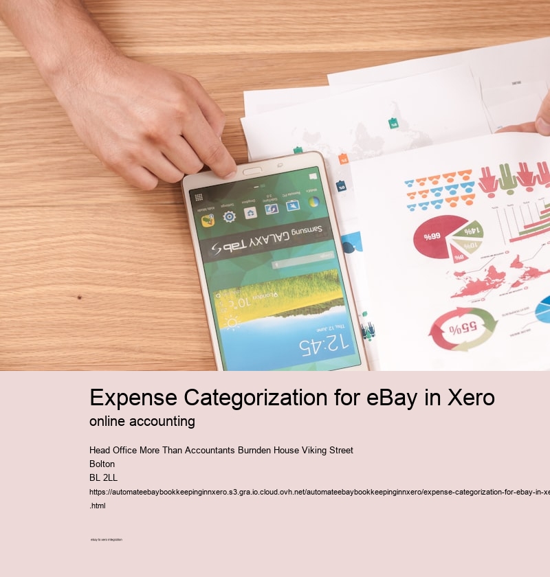 Expense Categorization for eBay in Xero